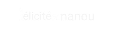 Logo Félicité ANANOU (4)